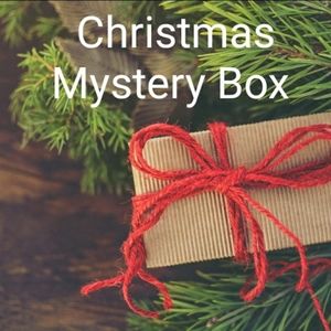 A  Holiday Surprise 🎄